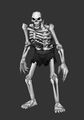 Skeleton nopic.jpg